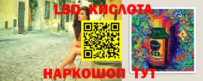 шишки Новозыбков
