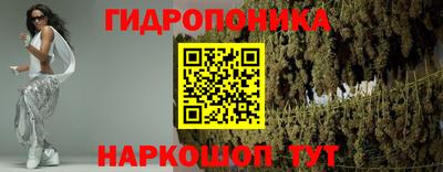 шишки Новозыбков