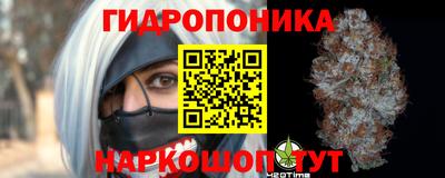 марихуана Новокубанск