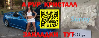 шишки Новозыбков