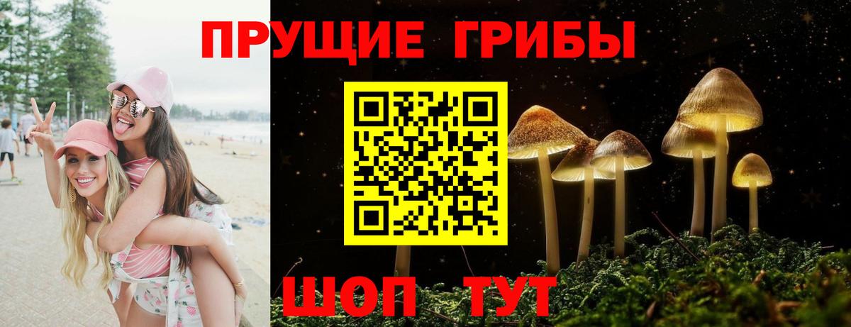 Галлюциногенные грибы прущие грибы  Вход с VPN  Урус-Мартан 